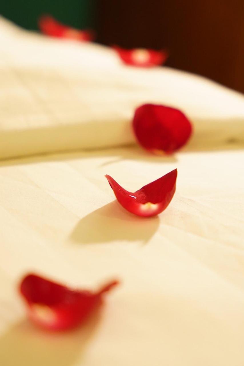 Nt Elysian Hotel 하노이 외부 사진